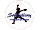 Logo partnera