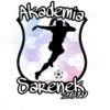 Logo partnera